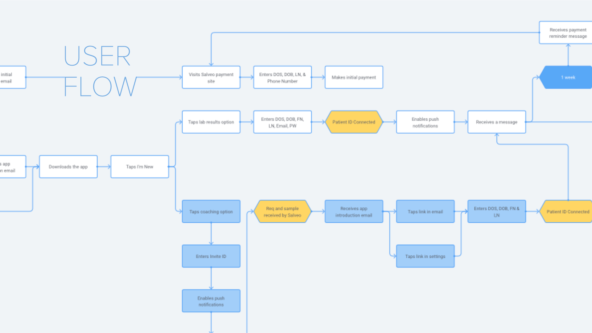 Salveo user flow